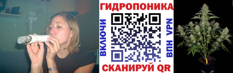 Шишки марихуана AK-47 Чаплыгин